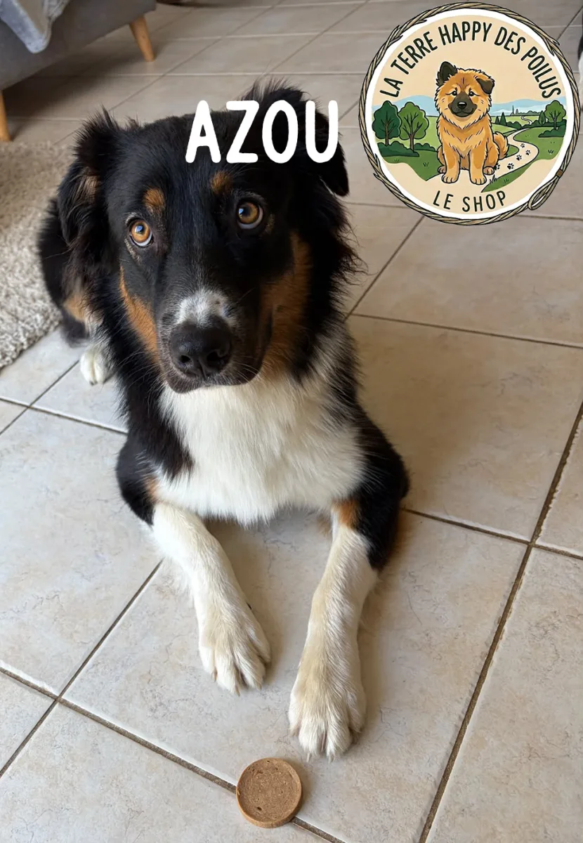 Azou