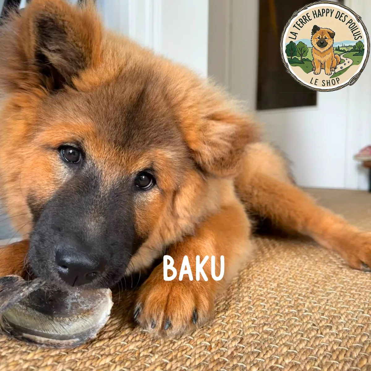 Baku