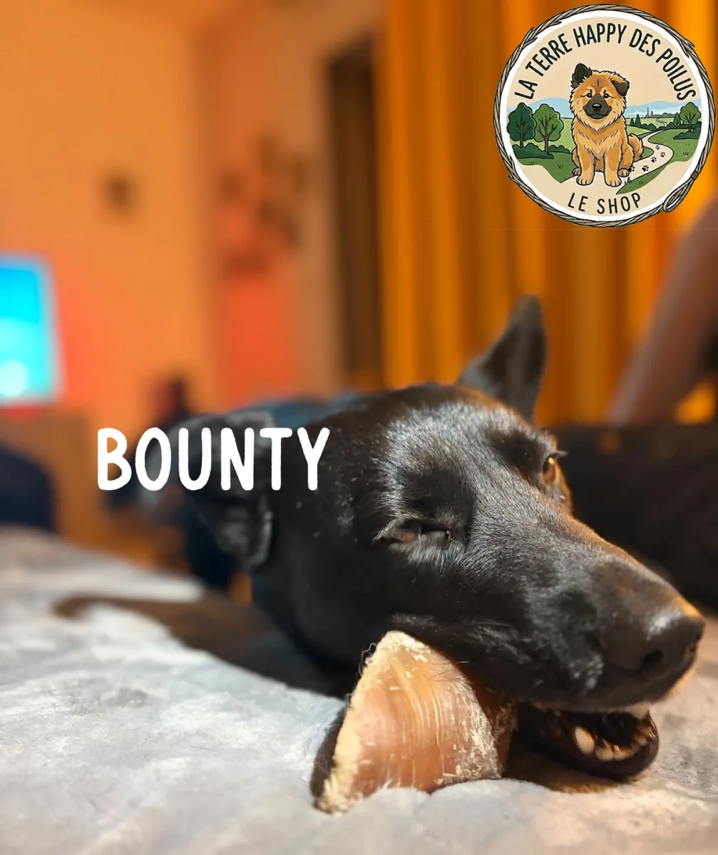 Bounty