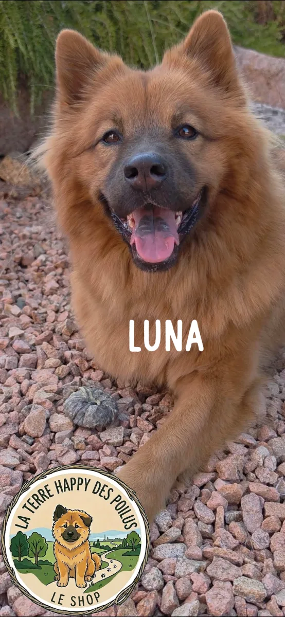 Luna