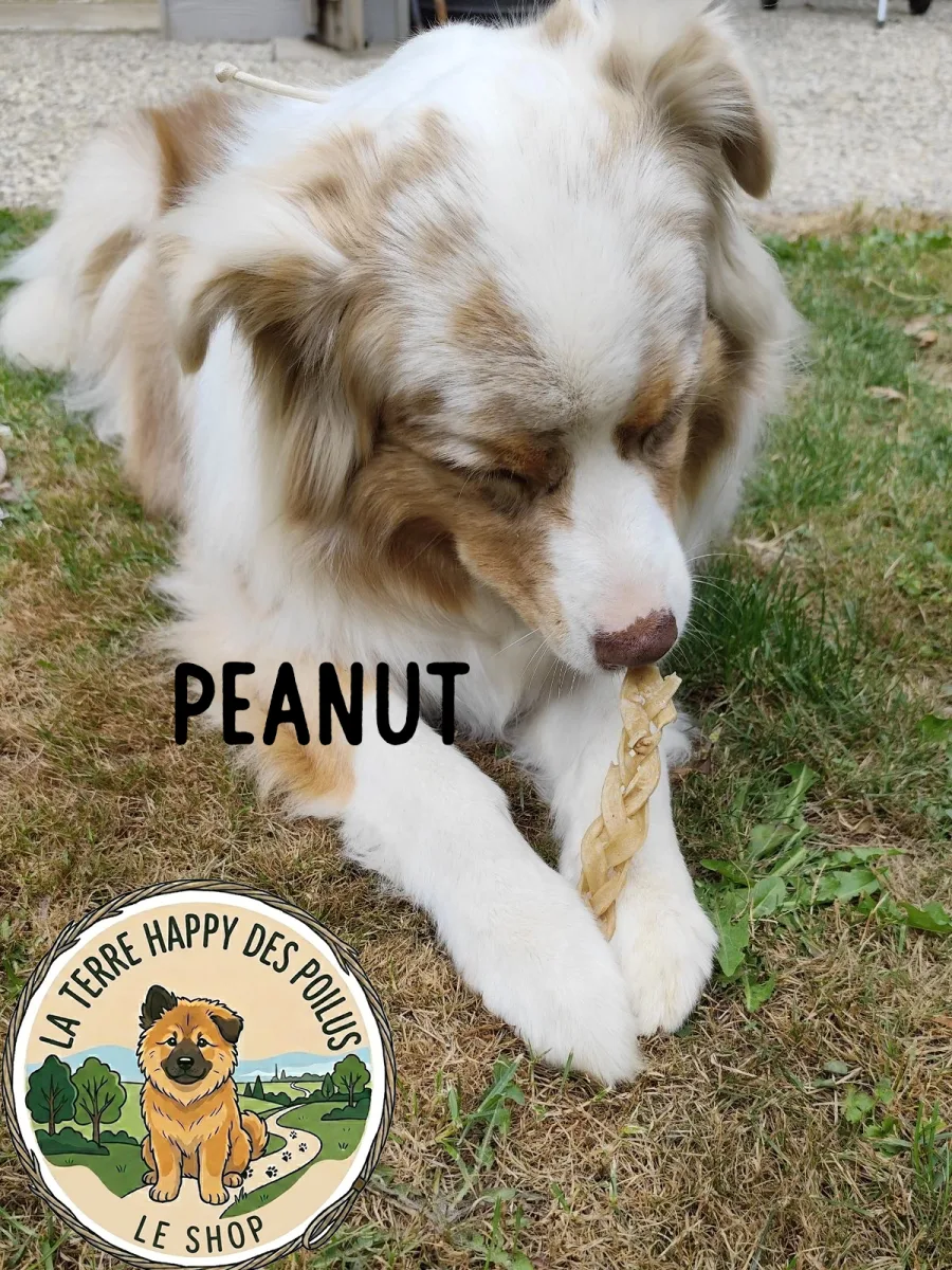 Peanut