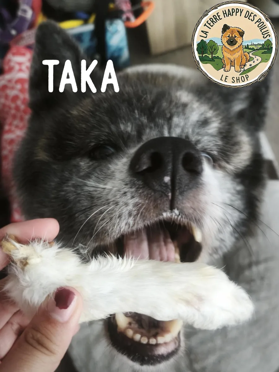 Taka