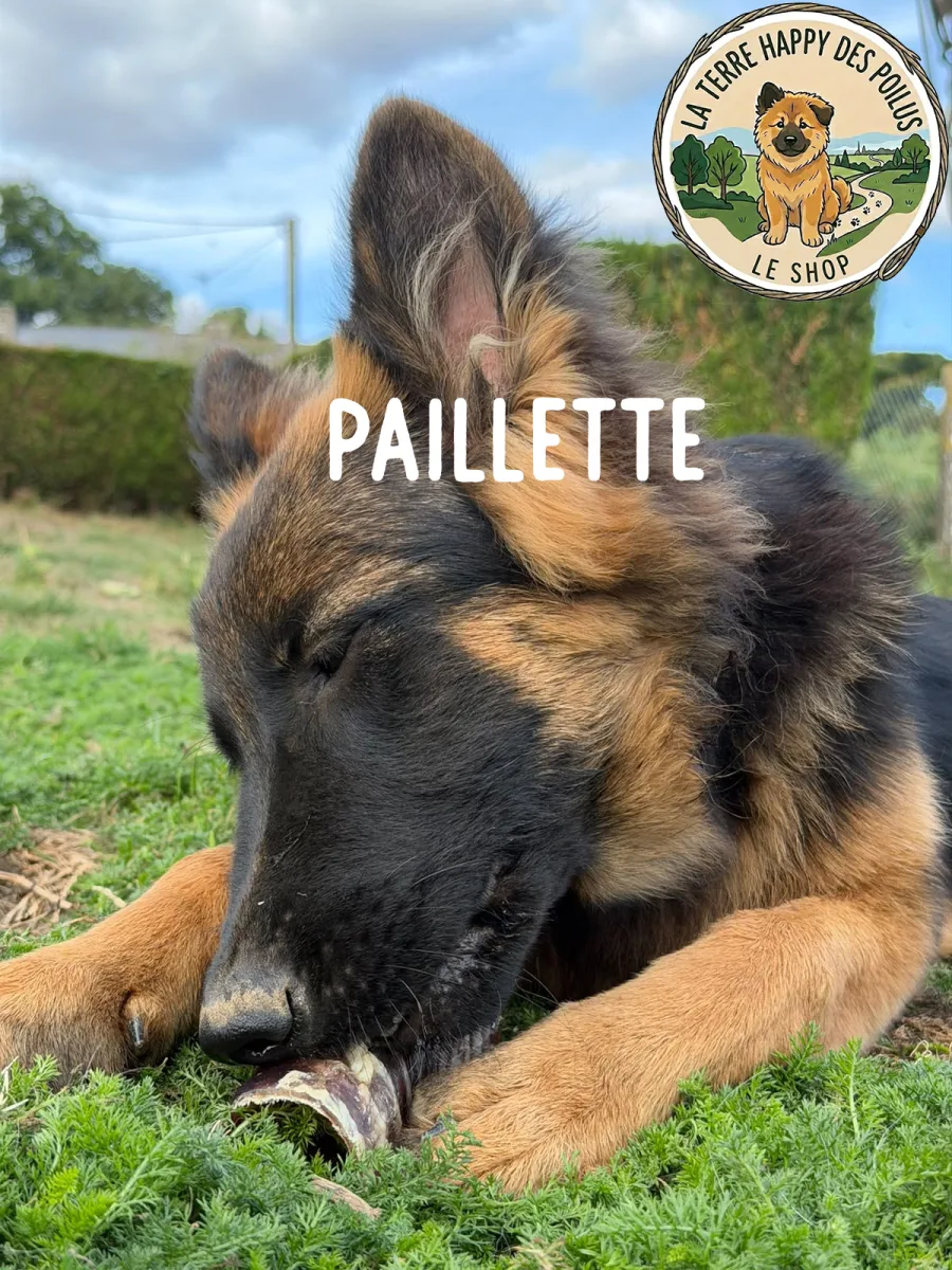 Paillette