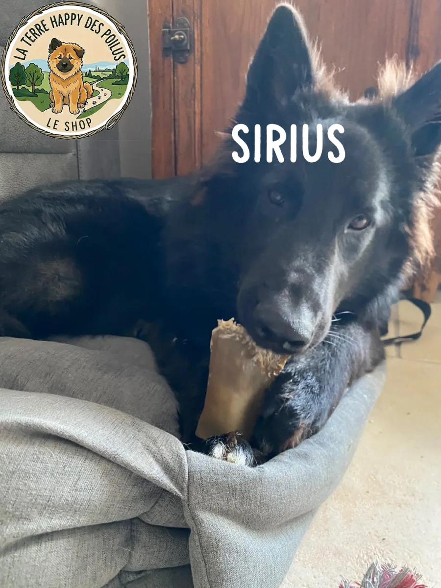 Sirius