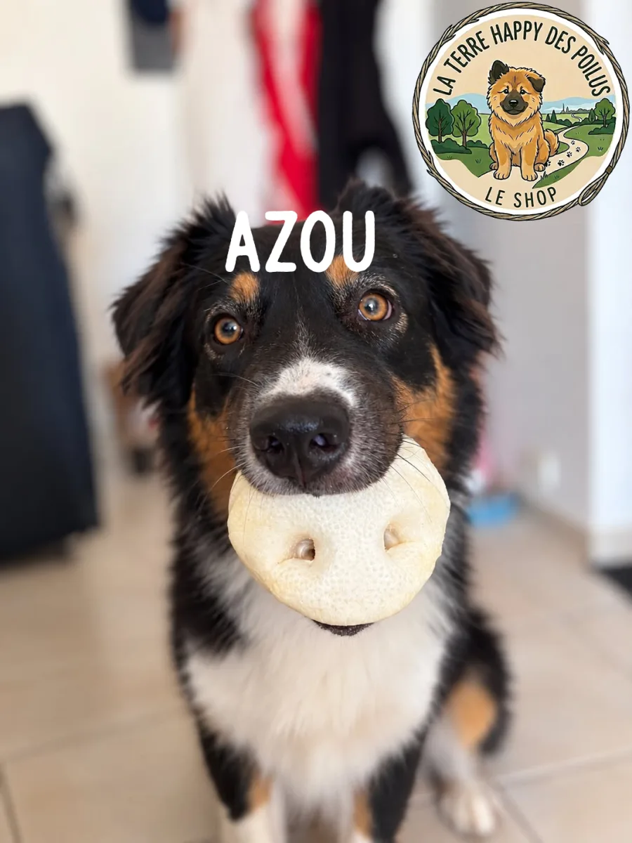 Azou
