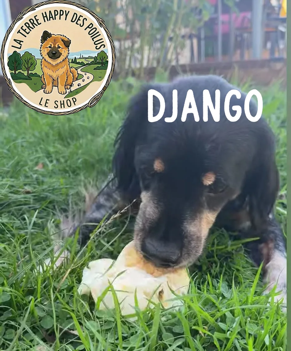 Django