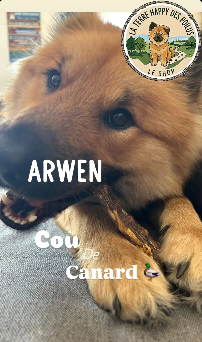 Arwen