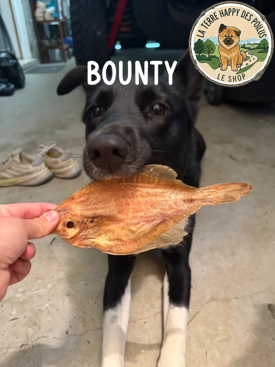Bounty