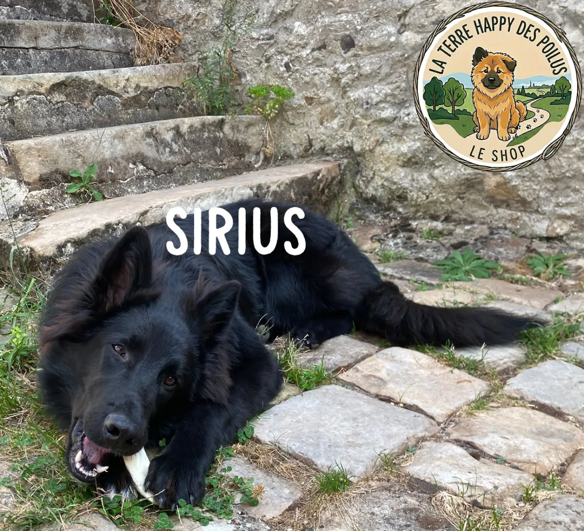 Sirius