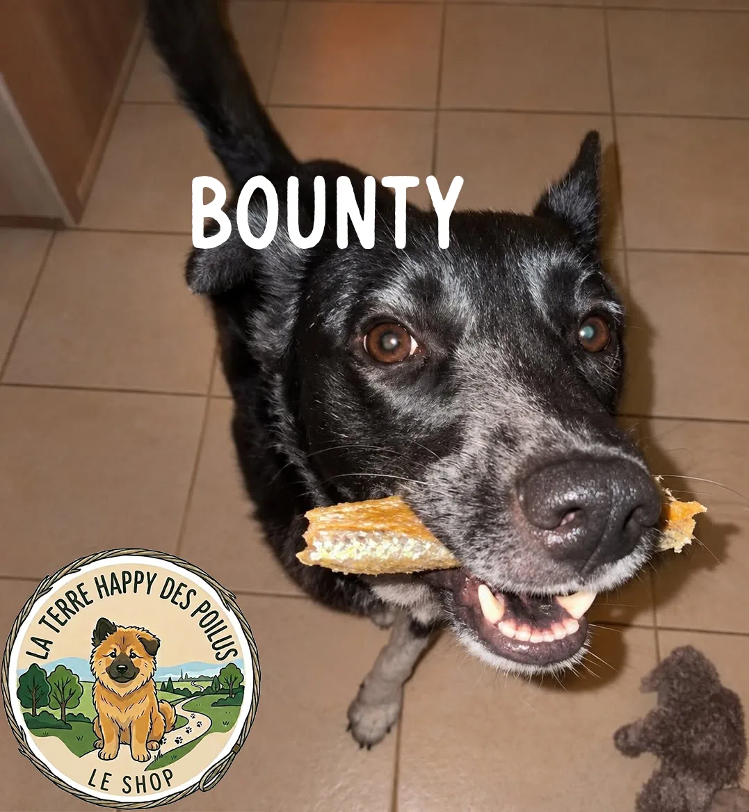 Bounty