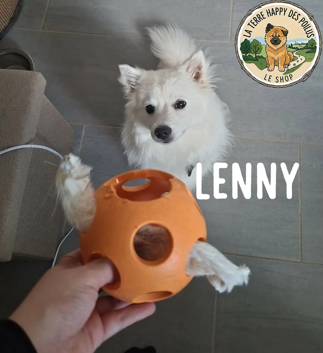 Lenny