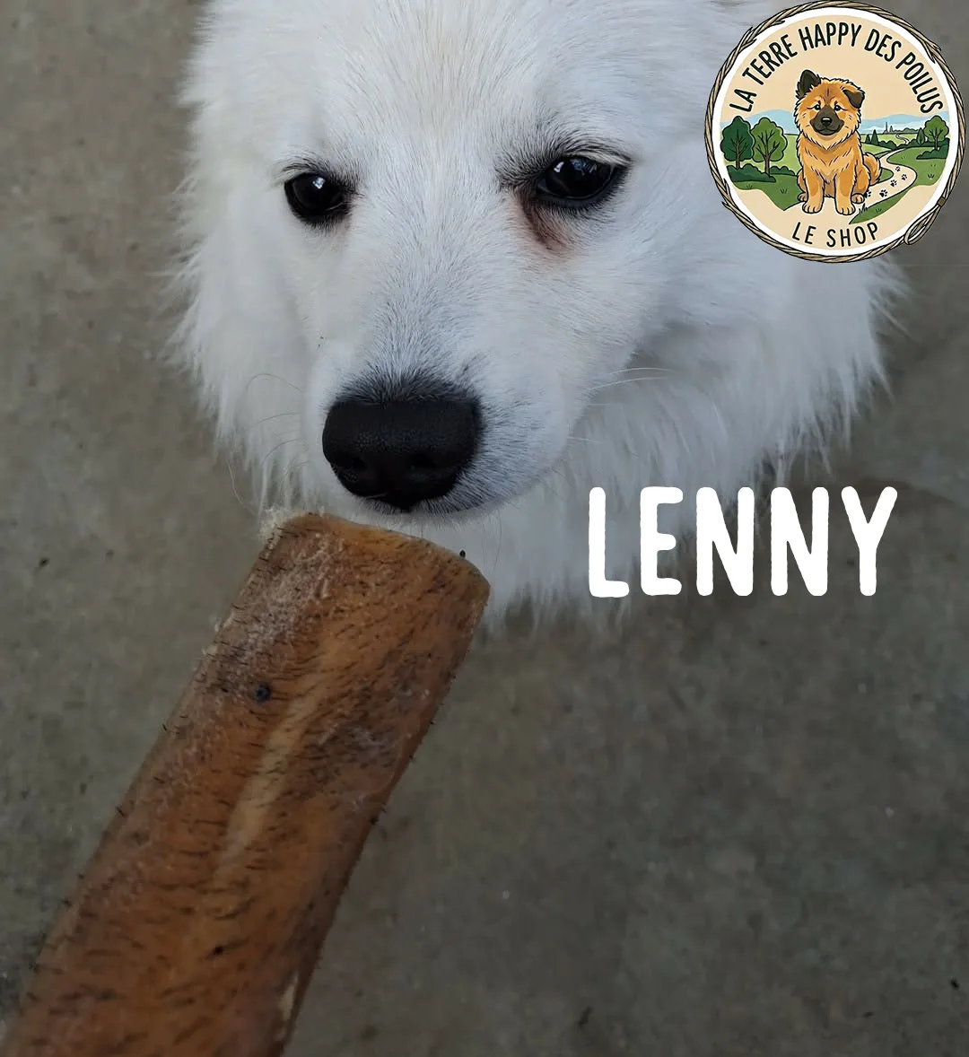 Lenny
