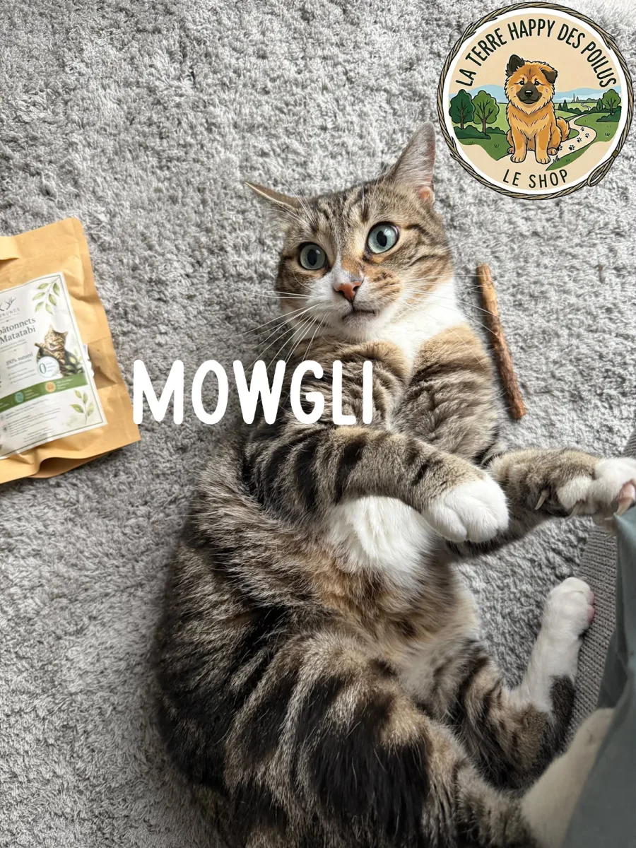 Mowgli