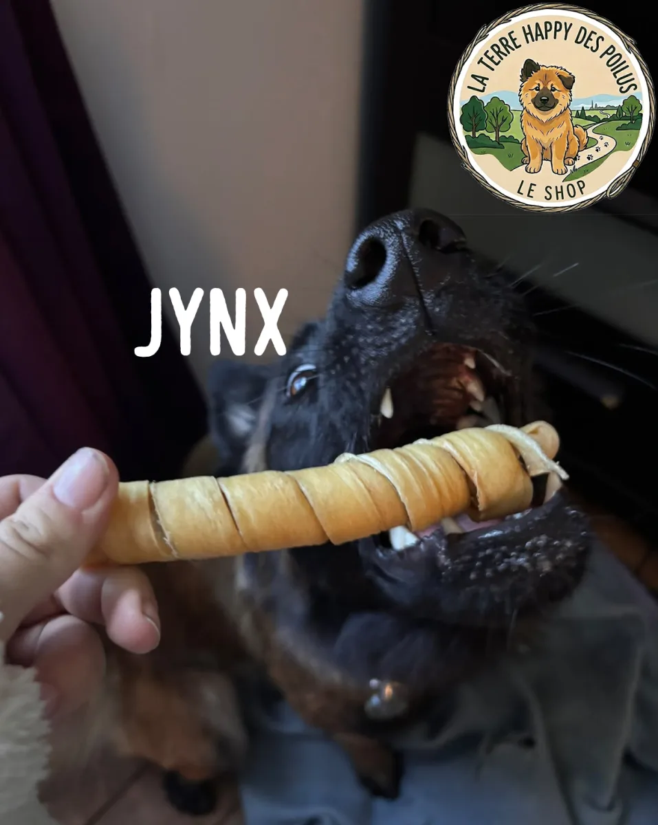 Jynx