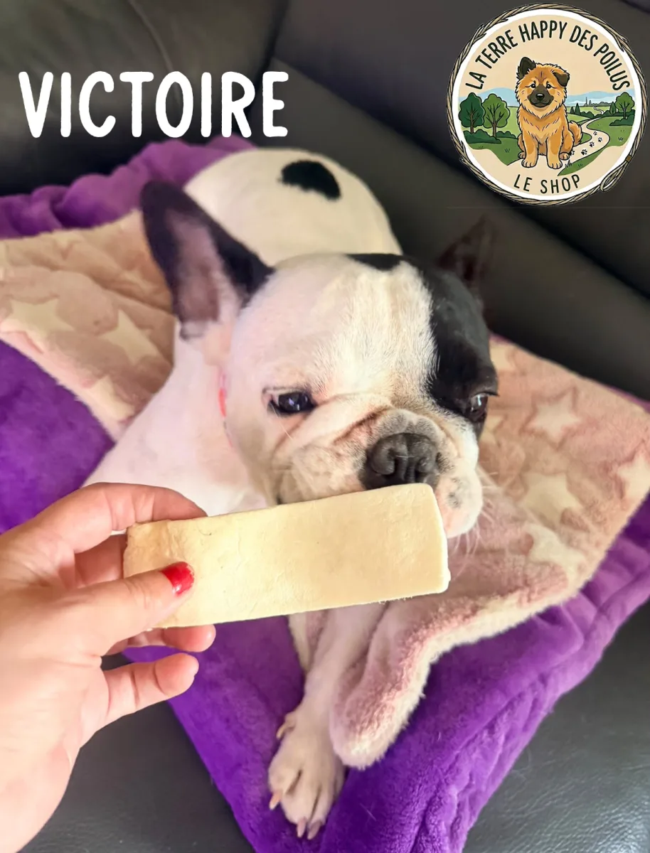 Victoire