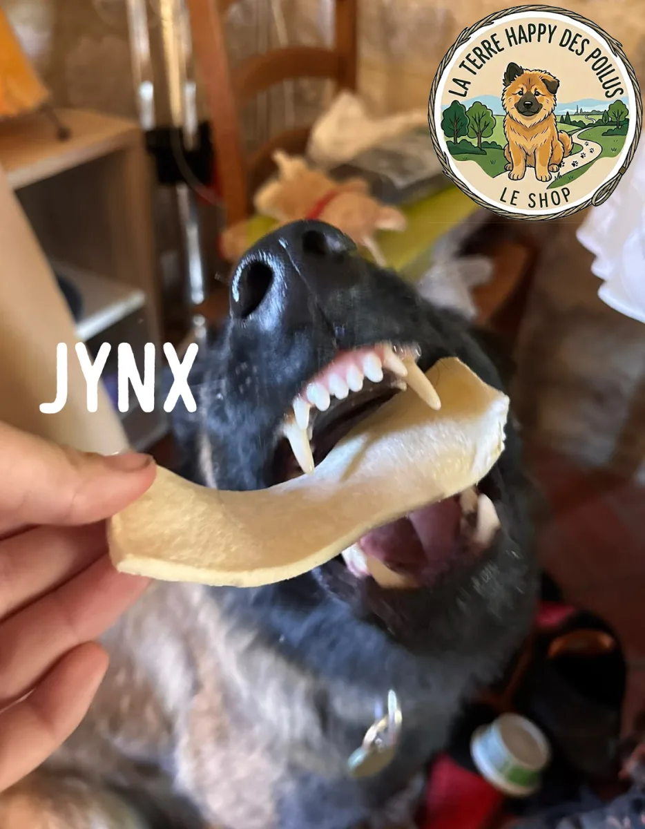 Jynx