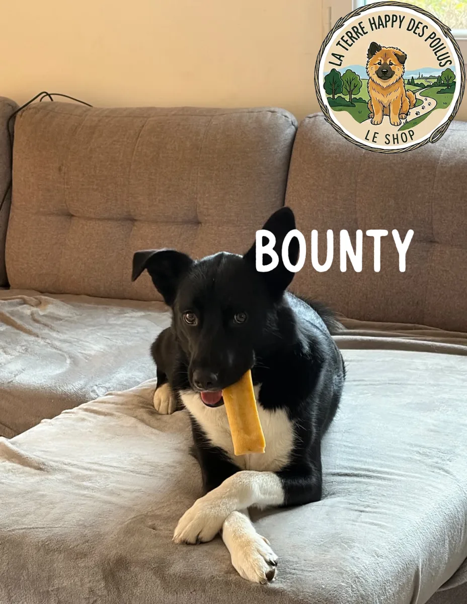 Bounty