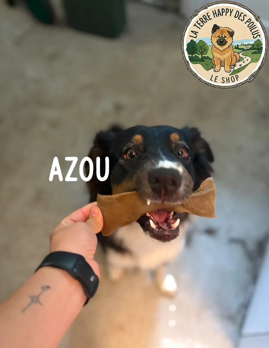 Azou