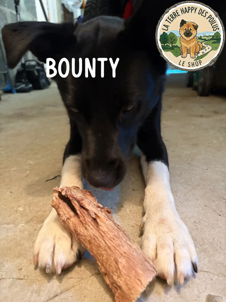 Bounty