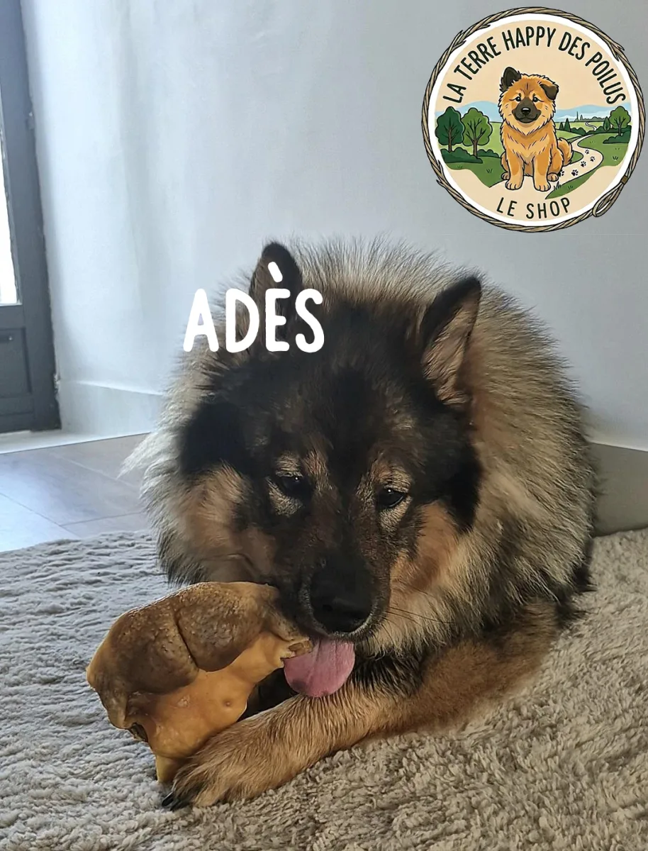 Adès