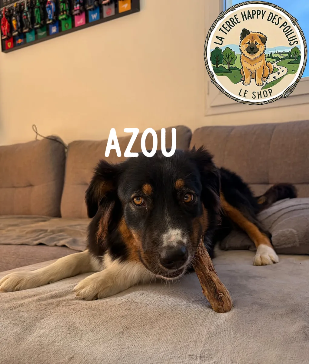 Azou