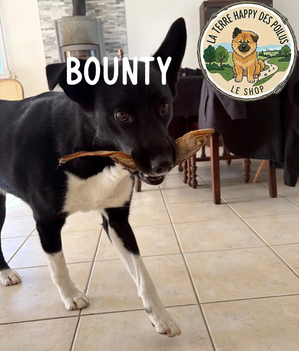 Bounty
