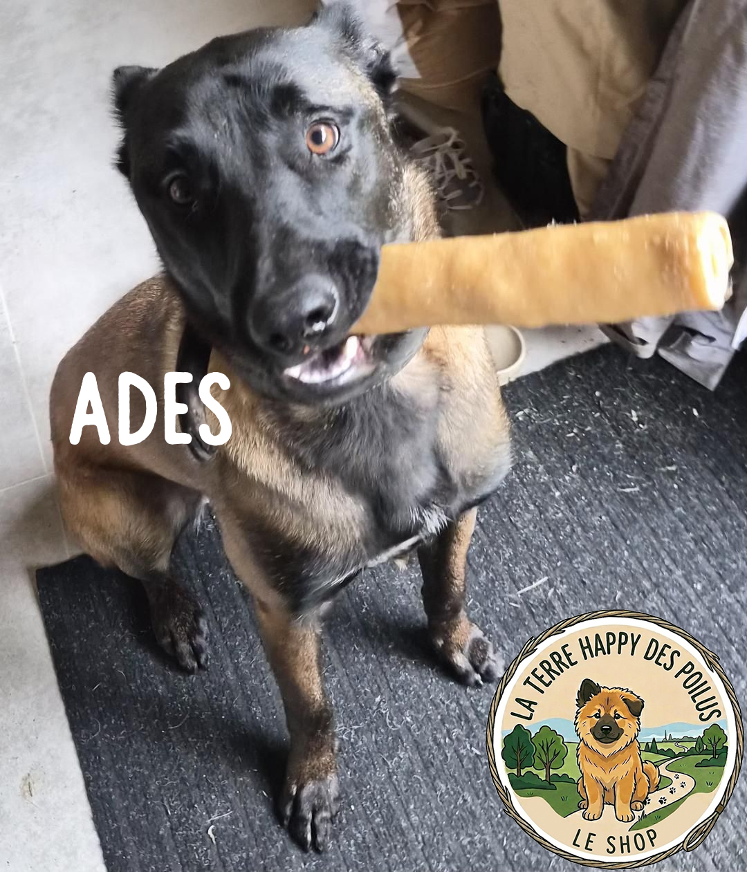 Ades