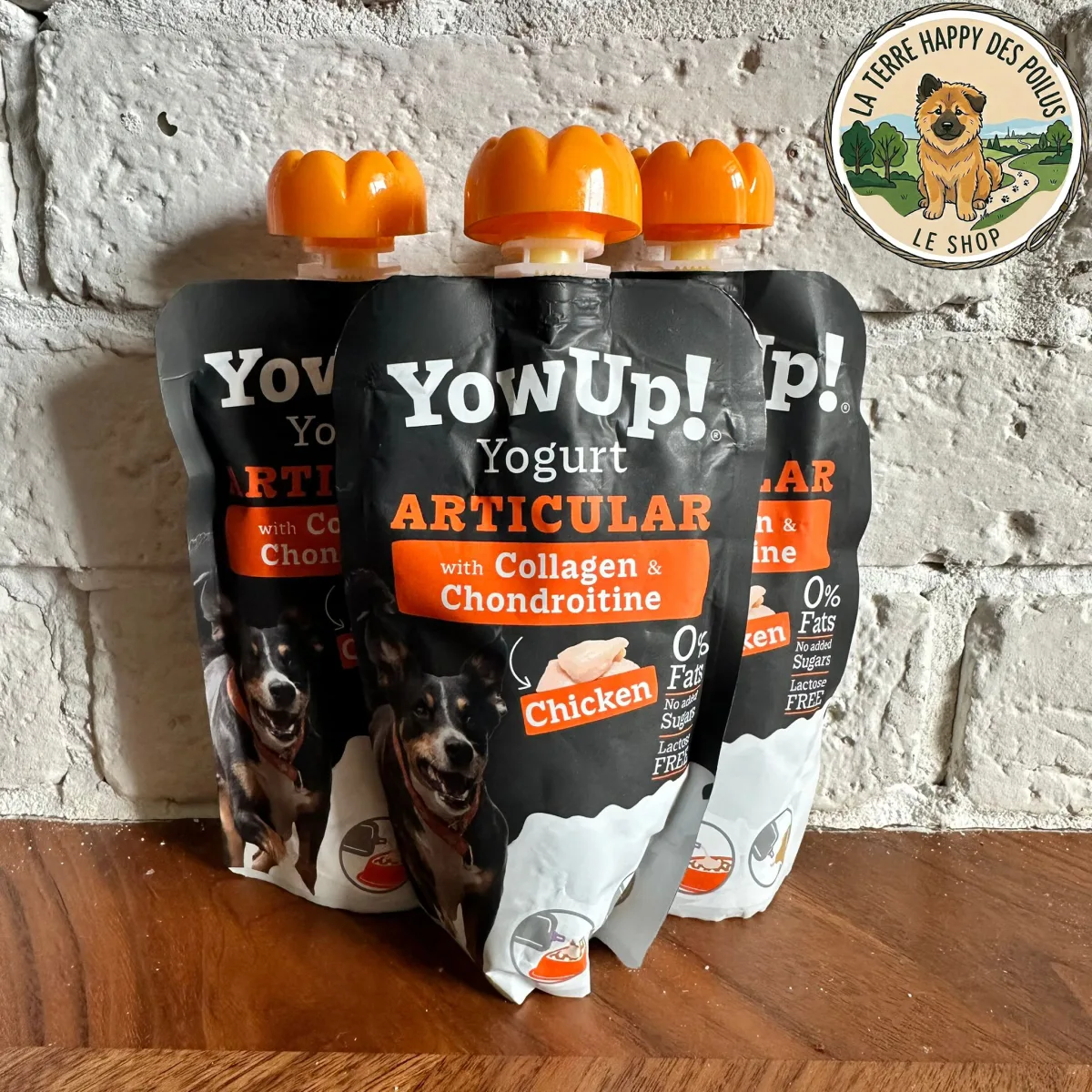 YowUp Gourde - Mastication 100% naturelle et saine pour chien - Vue 5