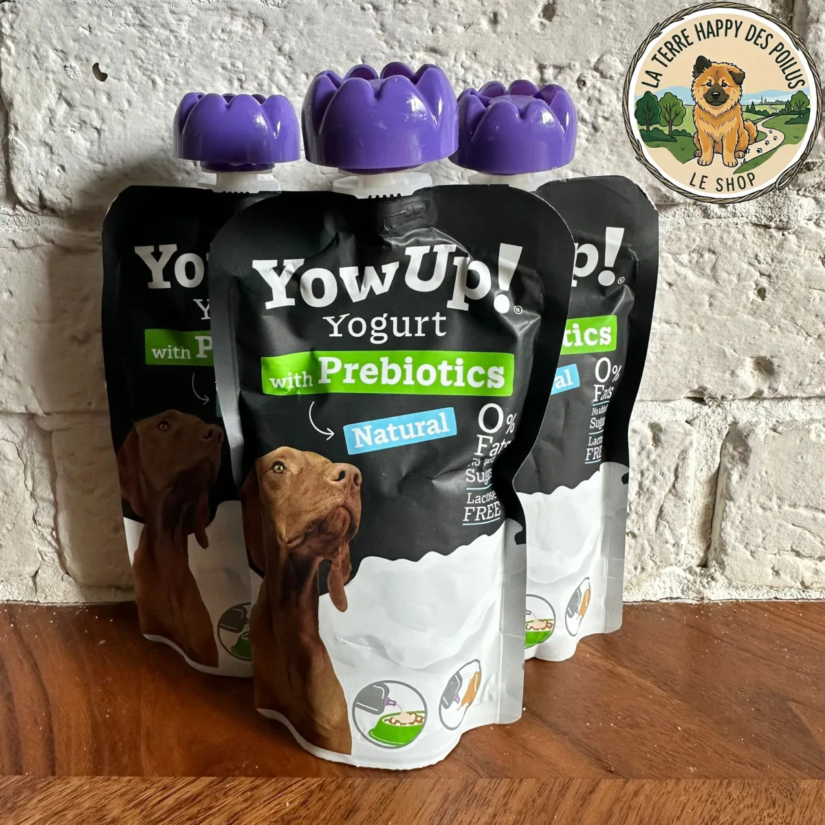 YowUp Gourde - Mastication 100% naturelle et saine pour chien - Vue 4