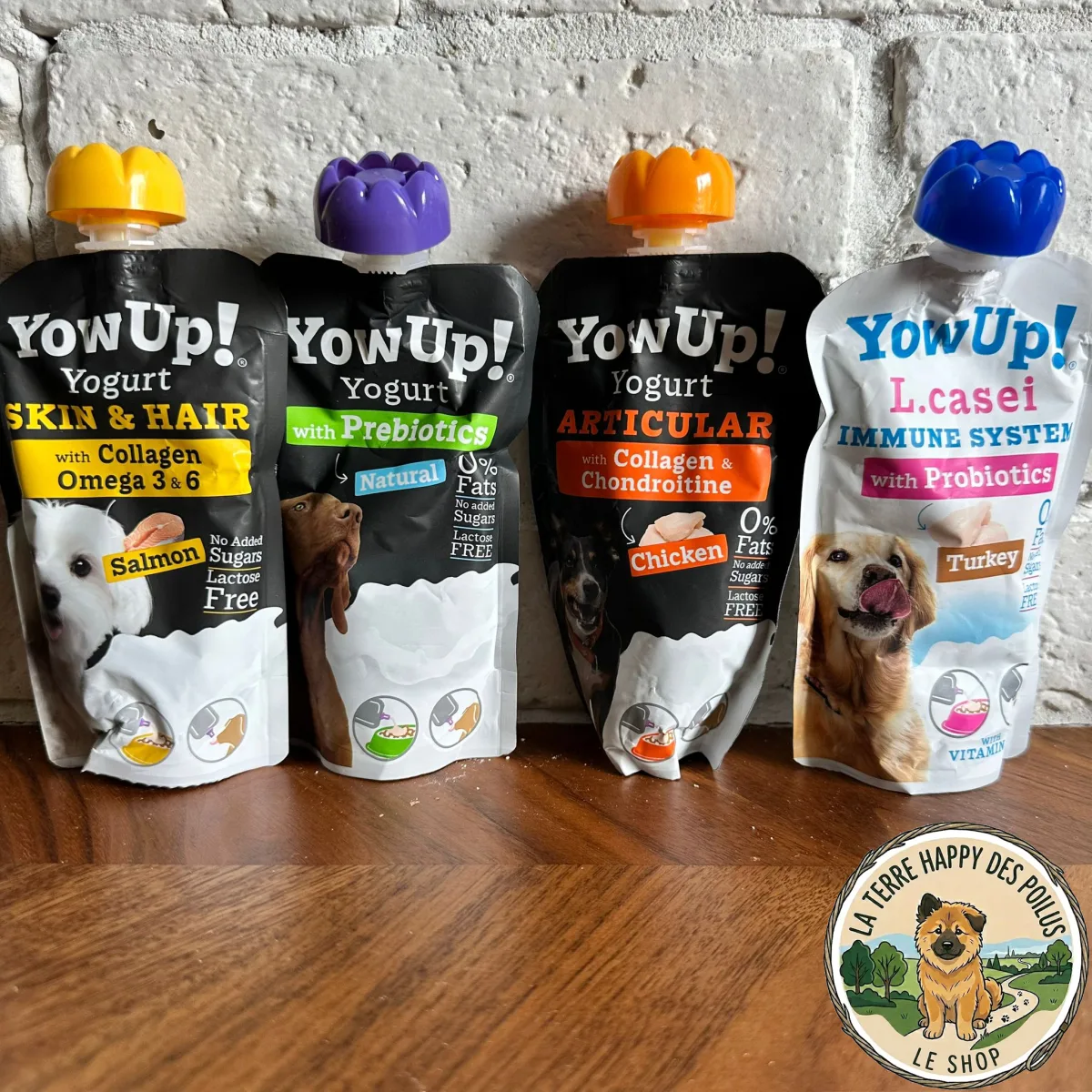 YowUp Gourde - Mastication 100% naturelle et saine pour chien