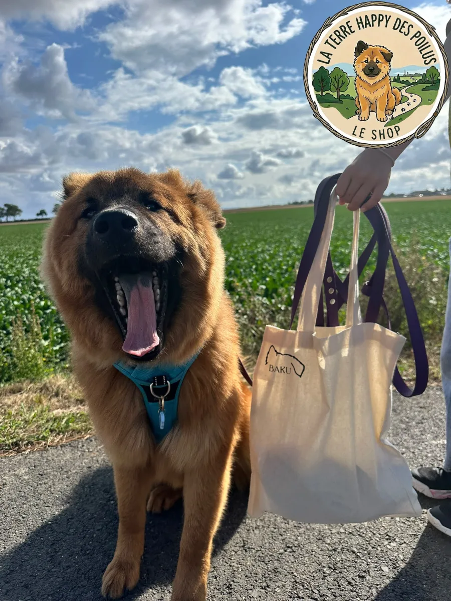 Tote bag - Humain.e de compagnie à plein temps - Accessoire et cadeau pour propriétaire de chien passionné