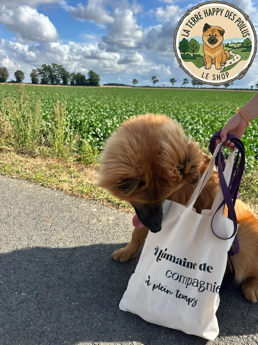 Tote bag - Humain.e de compagnie à plein temps - Accessoire et cadeau pour propriétaire de chien passionné - Vue 2
