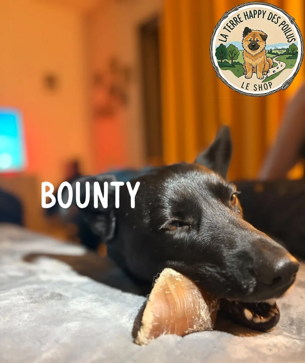 Sabot de Boeuf - Mastication naturelle longue durée pour chien - Vue 4