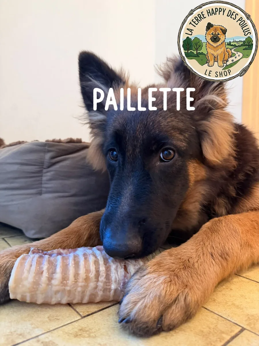 Trachée de Bœuf 15cm - Mastication 100% naturelle et saine pour chien - Vue 4