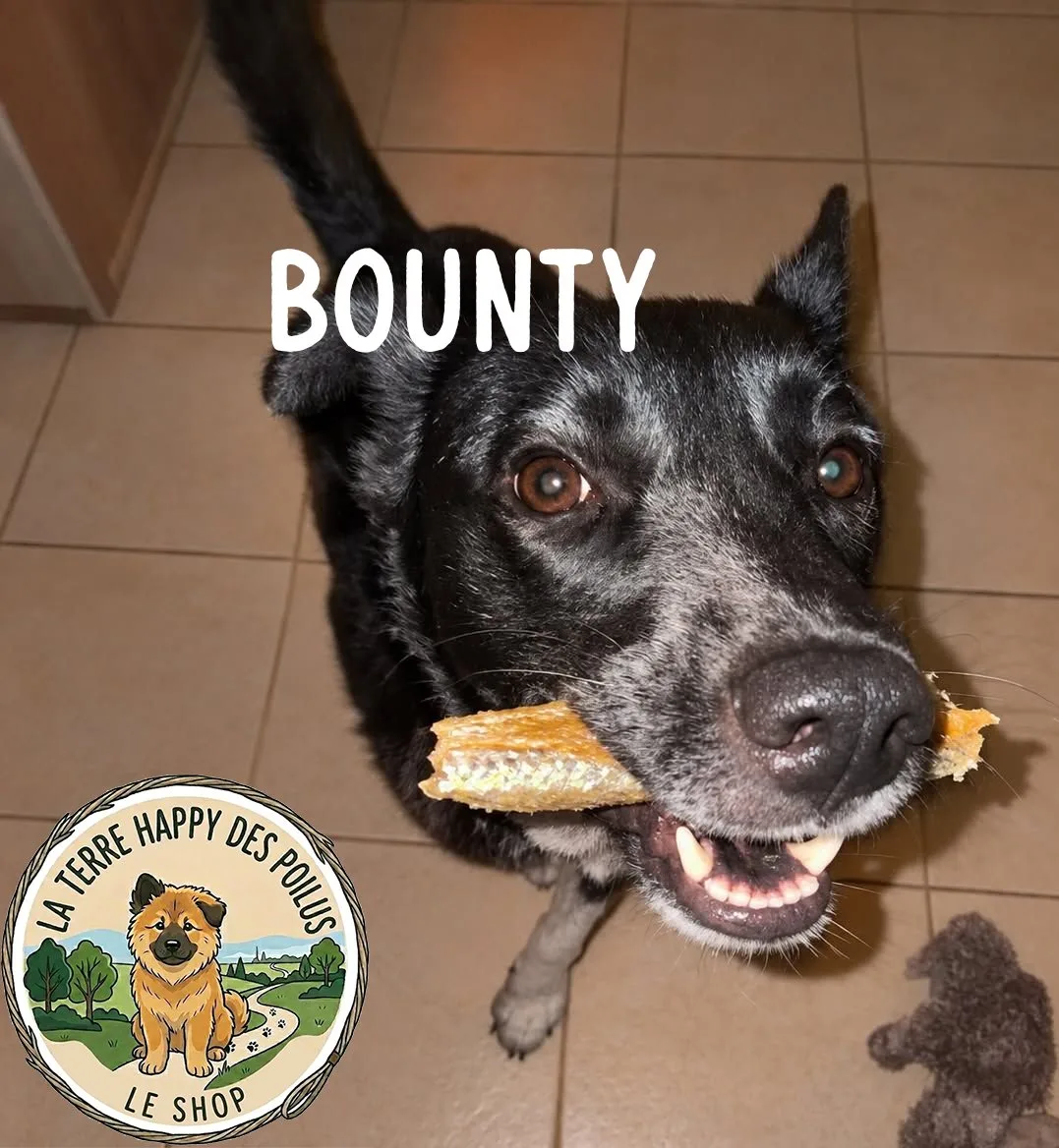 Peau de Saumon avec chair - Mastication 100% naturelle et saine pour chien - Vue 2
