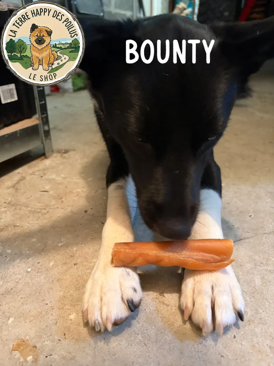 Rouleau De Porc - Mastication 100% naturelle et saine pour chien - Vue 3
