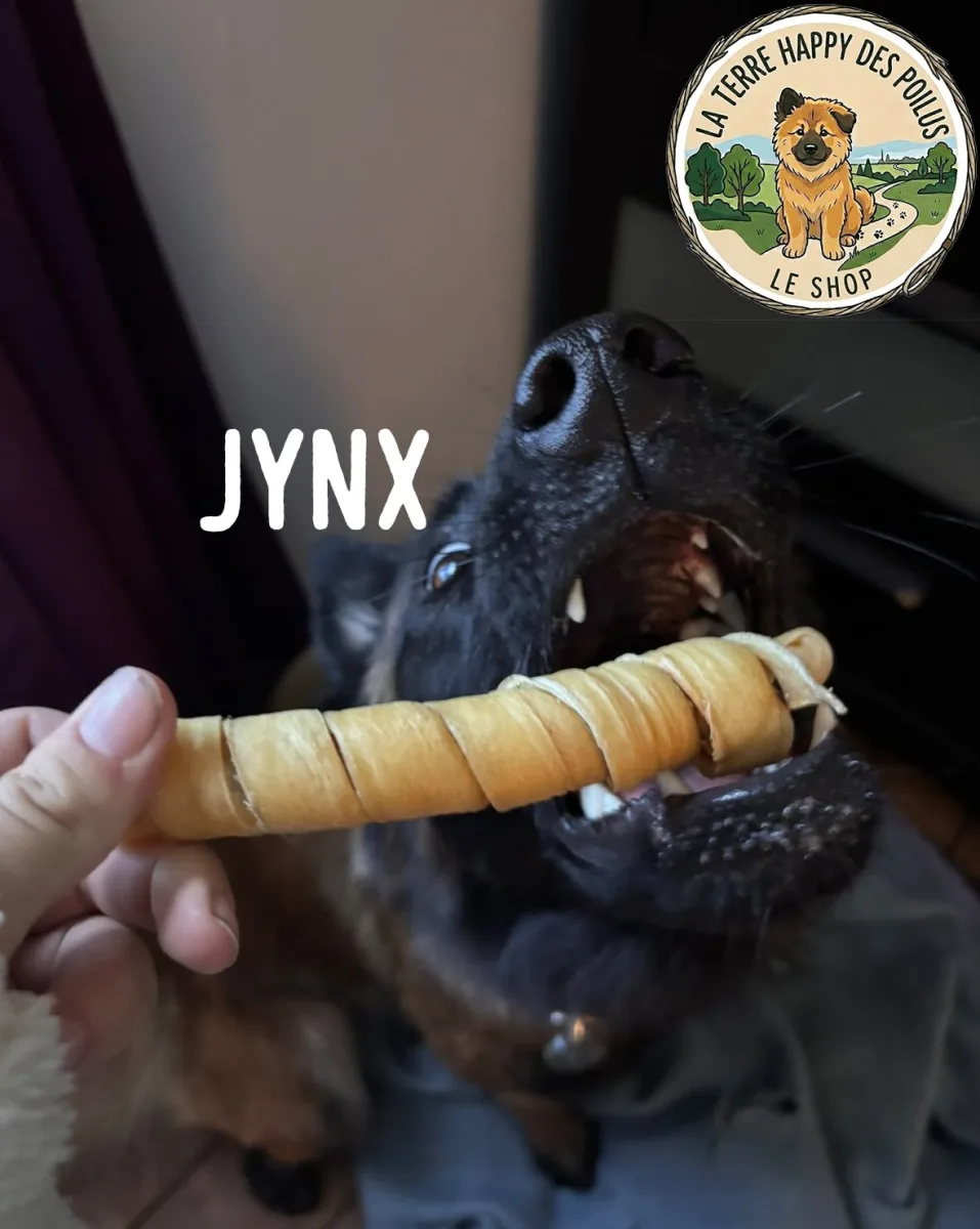 Peau de Buffle torsadée - Mastication naturelle hypoallergénique pour chien - Vue 2