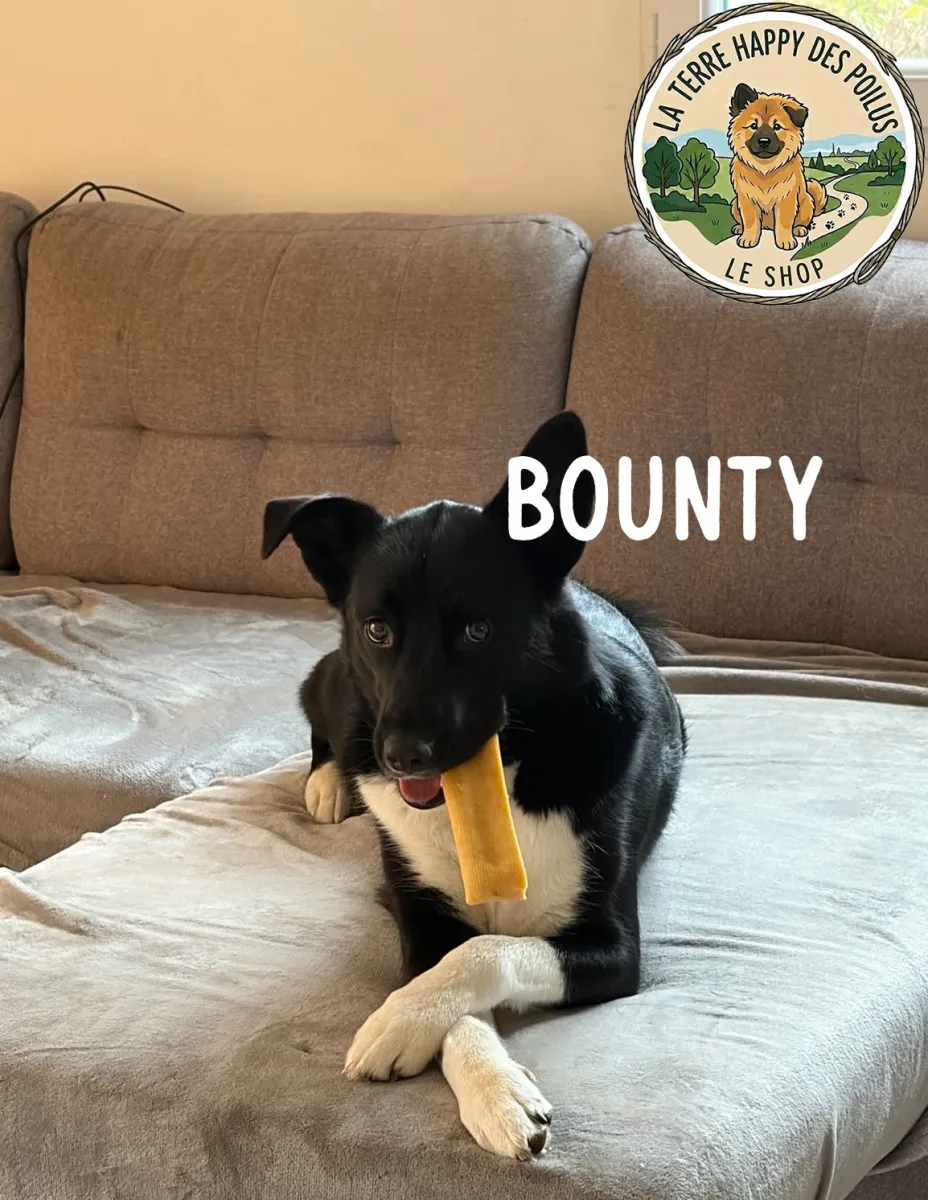 Fromage de Yak - Mastication naturelle longue durée pour chien - Vue 7