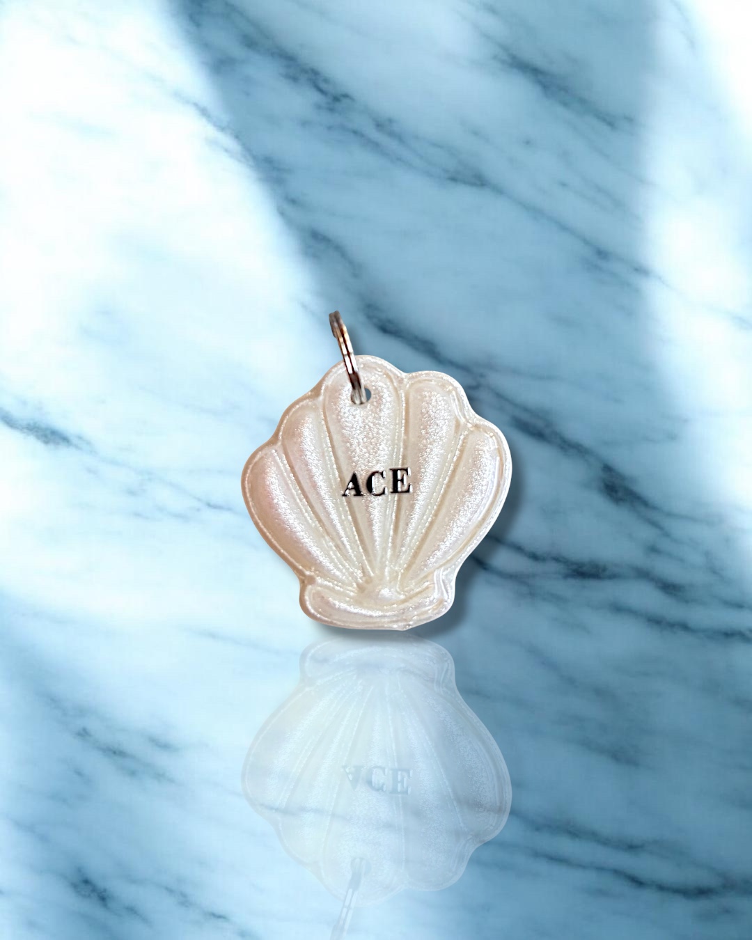 Médaille - Coquillage 🐚