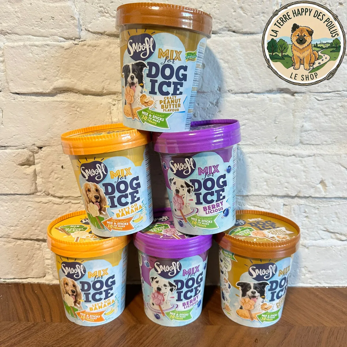 Smoofl - Glace à préparer - Friandise naturelle saine et savoureuse pour chien