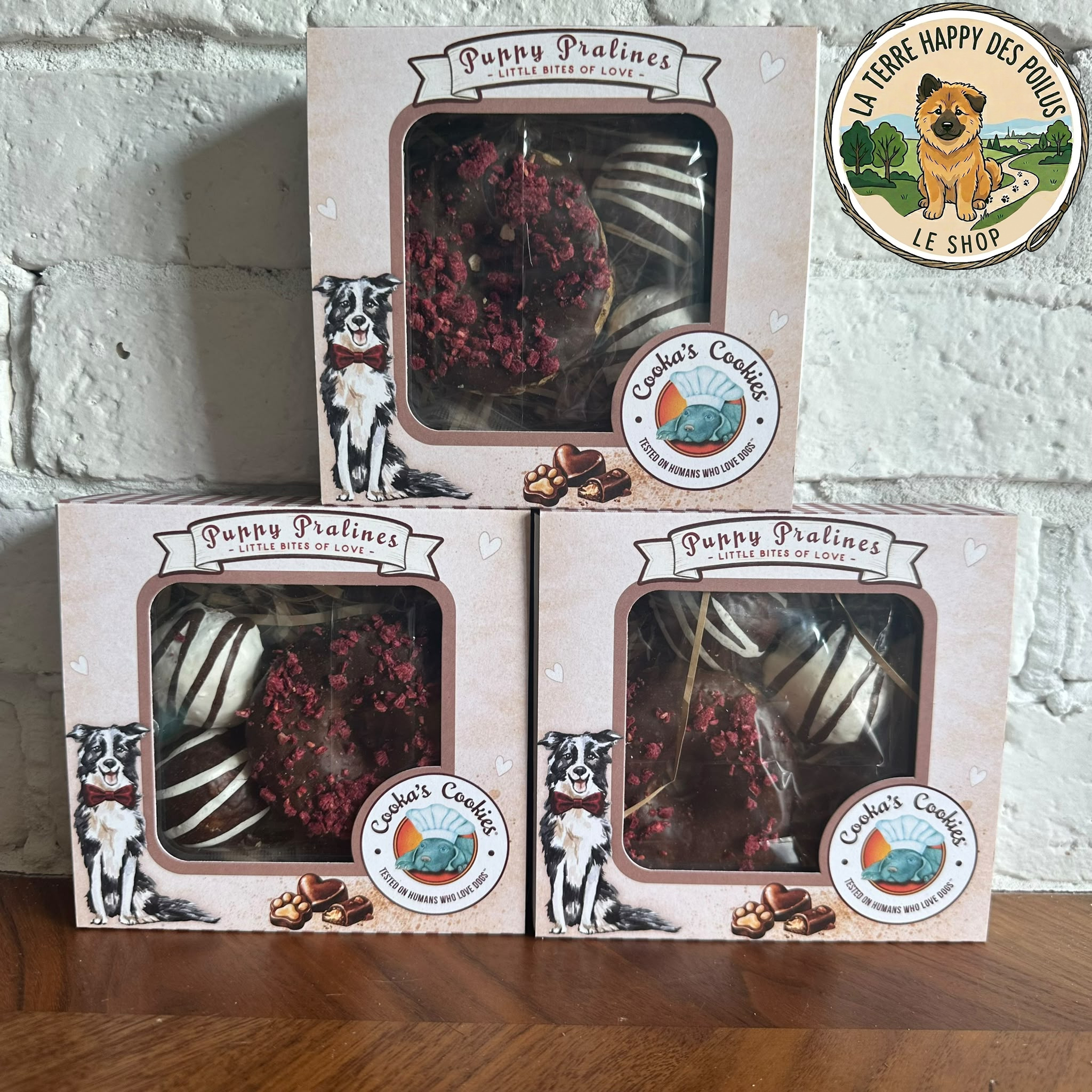 Cooka's Cookie - Pralinés pour chiots