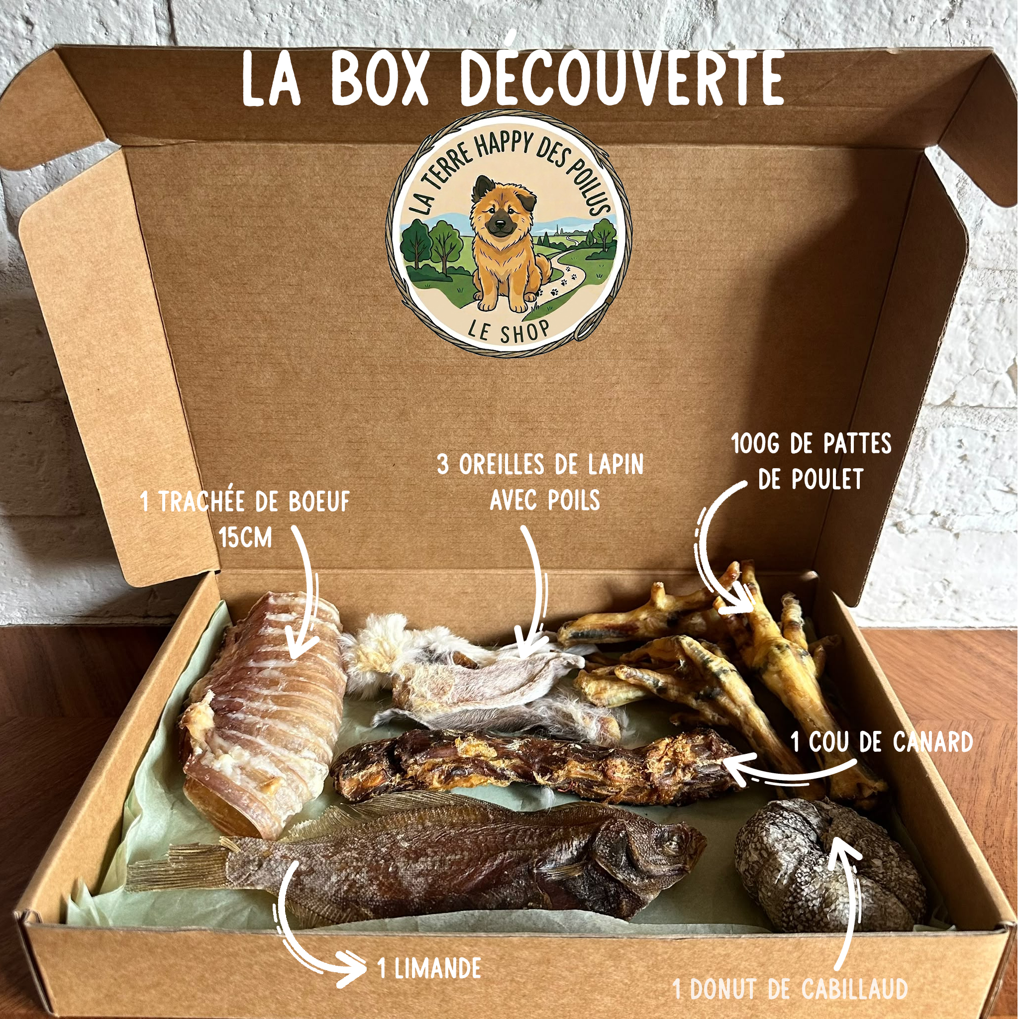 Box découverte