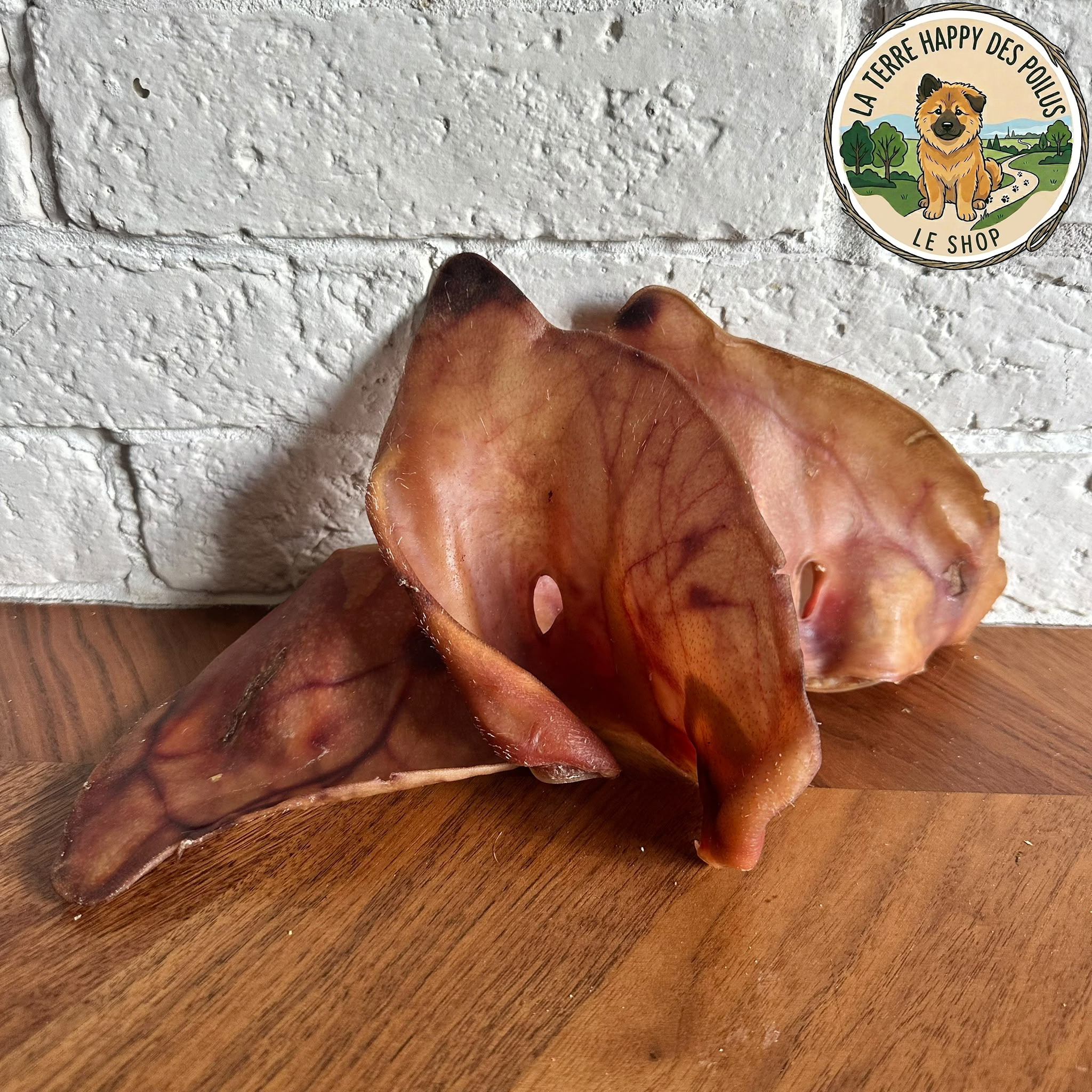 Oreille de Porc
