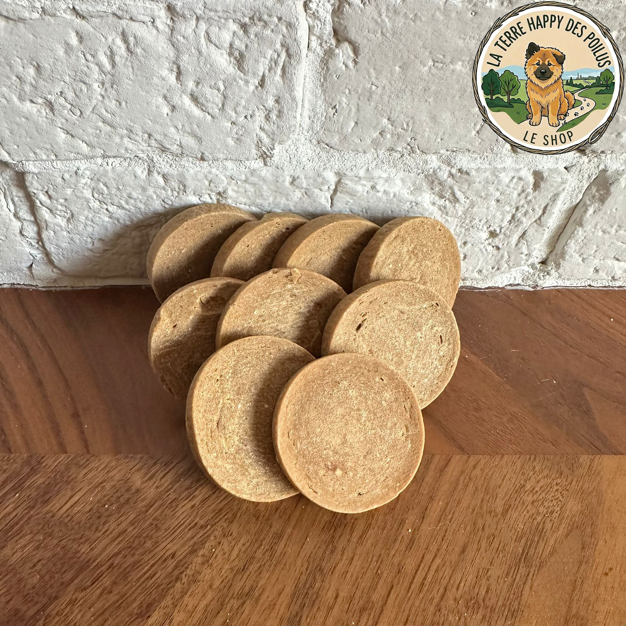 Disques croquants au saumon