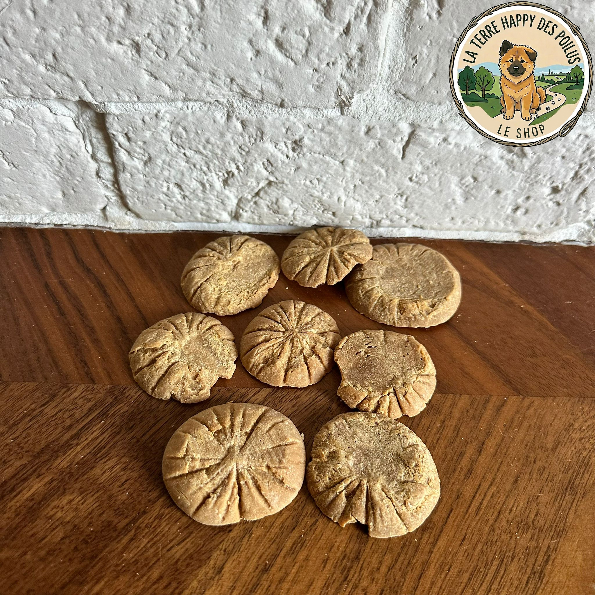 Disques croquants au saumon - TooMoch'