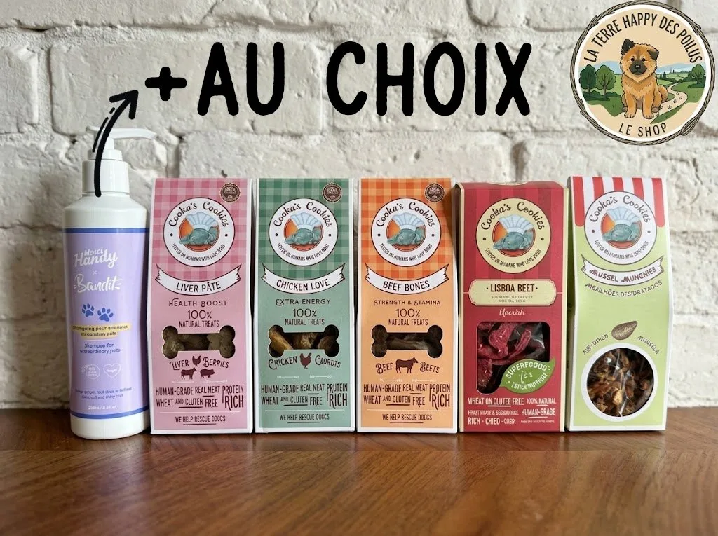Pack Shower is good 🚿 - Box et pack de mastication 100% naturelle pour chien
